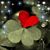 Joyce Tafel Bertschinger's profile image