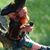 Tammy Fish Abbarno's profile image