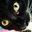 Austen's profile image