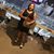 Erica Castañeda's profile image