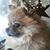 Murphy Karen Grund's profile image