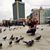 Ezz Alarab's profile image