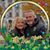 Michele Shannon's profile image