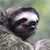 Kirby Adams's profile image
