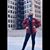 Shaneal Hansen's profile image