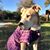 Holly Hoell's profile image