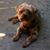 Sandra Saari Snell's profile image