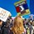 Melissa Hampton Burghardt's profile image