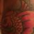 Pam Wilson's profile image