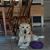 Robin Mazzuca's profile image