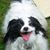 Rascal Eddie Haskell's profile image