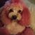 Angela Dove's profile image