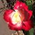 Martha Nelson's profile image