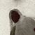 Ken Doose's profile image