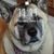 Andi Focht-Williams's profile image