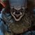Beto Gutierrez's profile image