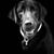 Ted Harder's profile image