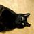 Chris Springowski Jackson's profile image