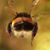 Nels Benson's profile image