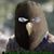 Micheal Harrington's profile image