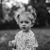 Kristinne McKinley's profile image