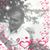 Robin Ireland's profile image