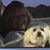 Jinny Bartusick's profile image