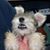 Gail Swidinsky Wellman's profile image