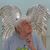 Judy Tremblay's profile image