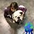 Cary Appel's profile image