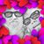 Victor Osborn's profile image