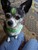 sarah a.'s profile image