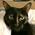 Steven Saranga's profile image