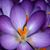 Leah Filer's profile image