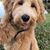 Cary Gruber's profile image