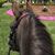 Carmen Giedt's profile image