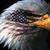 Nancy Smith's profile image