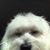 Jane Cole Bucano's profile image