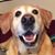 Lianne Kelly Rusnak's profile image