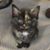 Katie N Ken Hays's profile image