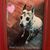 Valerie Skiba Jerina's profile image