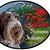 Deb Davenport's profile image
