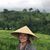Luciana S. Viga's profile image