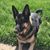 Maureen Kaulentis Engbrecht's profile image