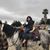 Jessica Zepeda's profile image