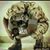 Mostafa Galal's profile image