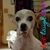 Joyce Benes's profile image