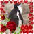 Donna Alpaugh Giberson's profile image