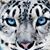 Marie Prouty's profile image