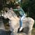 Lily Liang's profile image